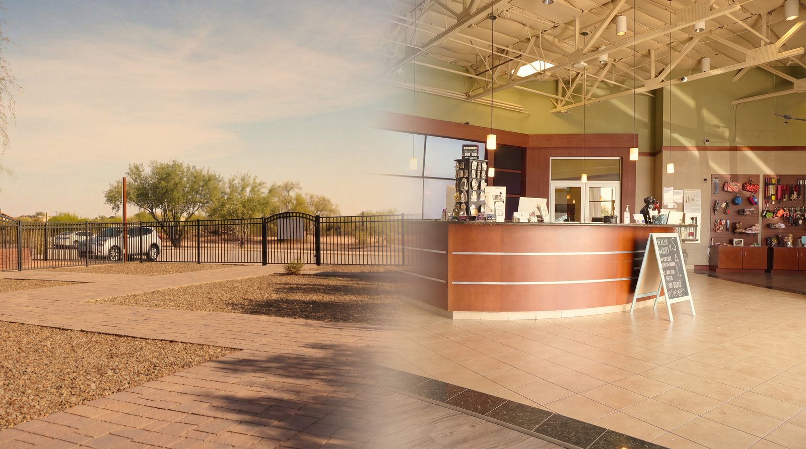 The Partners Dogs facility exterior with a fenced desert lot and welcoming indoor reception area, inviting families to reach out about the next beginner scent work class.