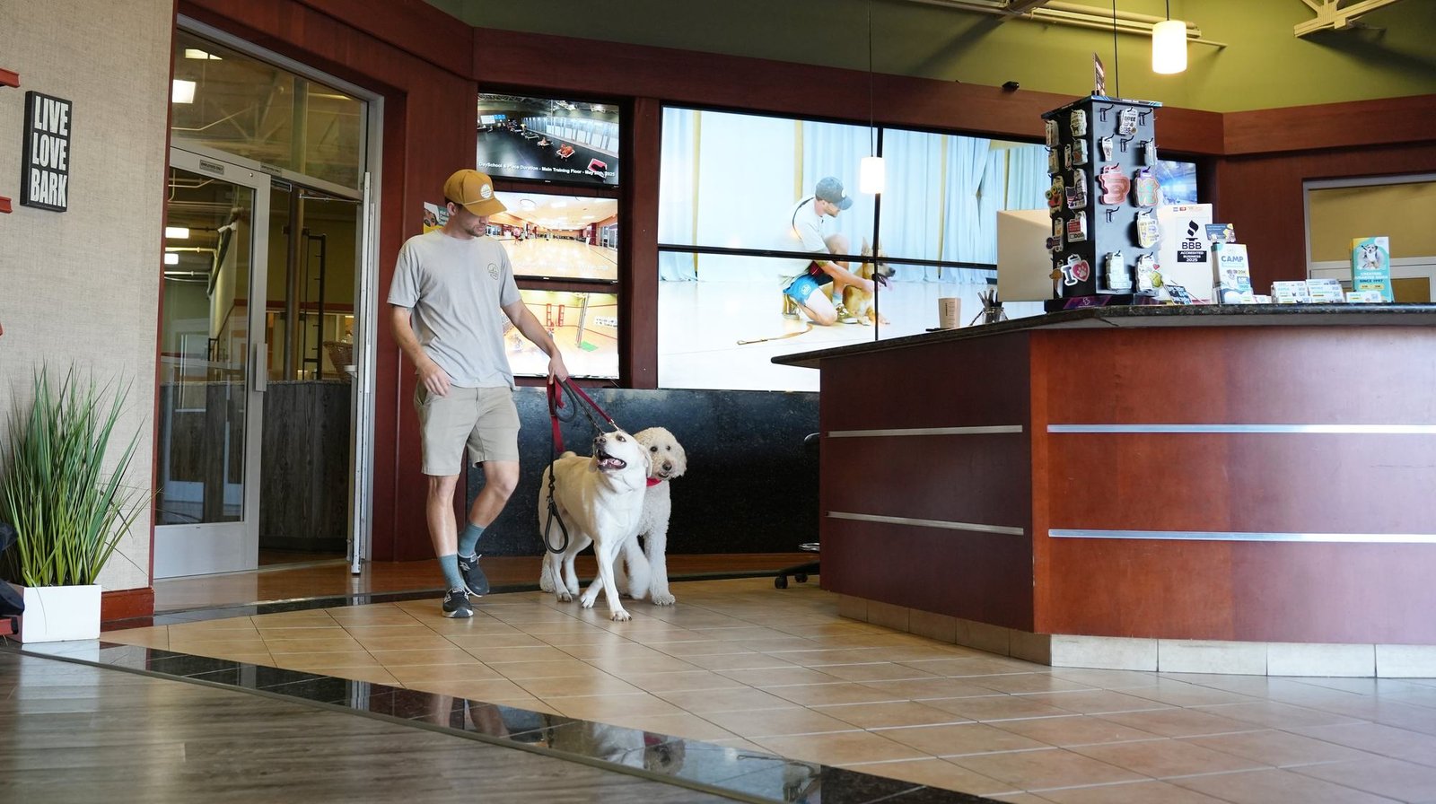 A pet parent walking a Lab and a Goldendoodle through the bright Partners Dogs Scottsdale lobby past the reception desk and video wall.