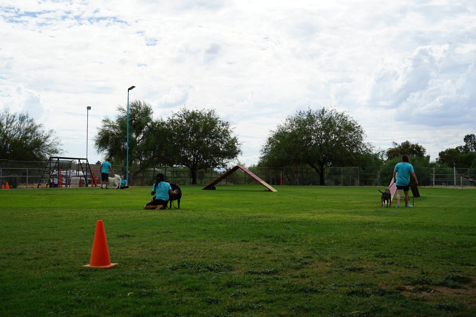 A wide desert training field at Cave Creek with mesquite trees, an agility A-frame and a cone, where several teal-shirted trainers work dogs across the green grass under a cloudy sky.