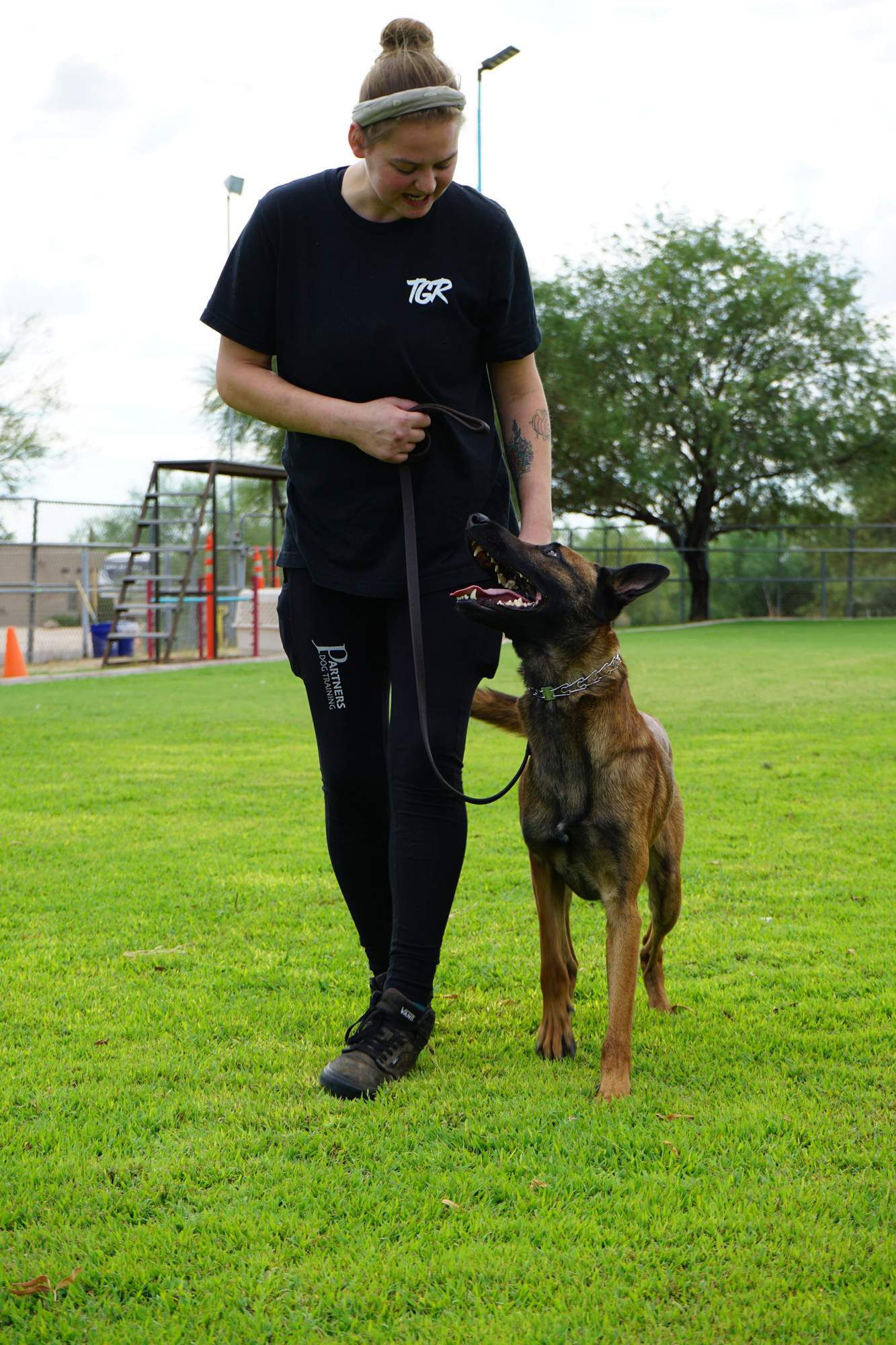 The grounds at a Partners Dogs Arizona training facility, where PD360 in-person assessments are run