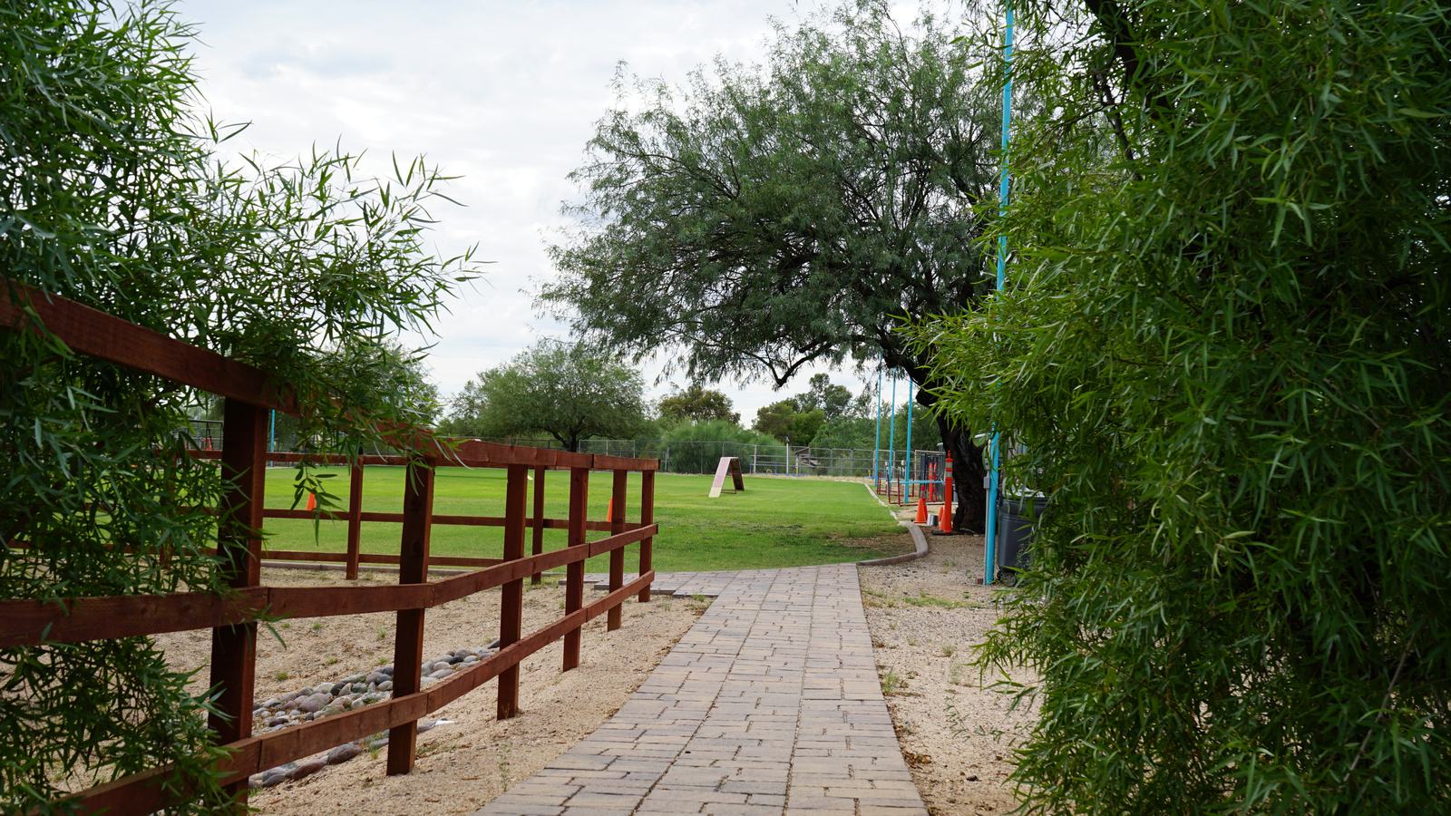 What Arizona Families Say About Partners Dog School