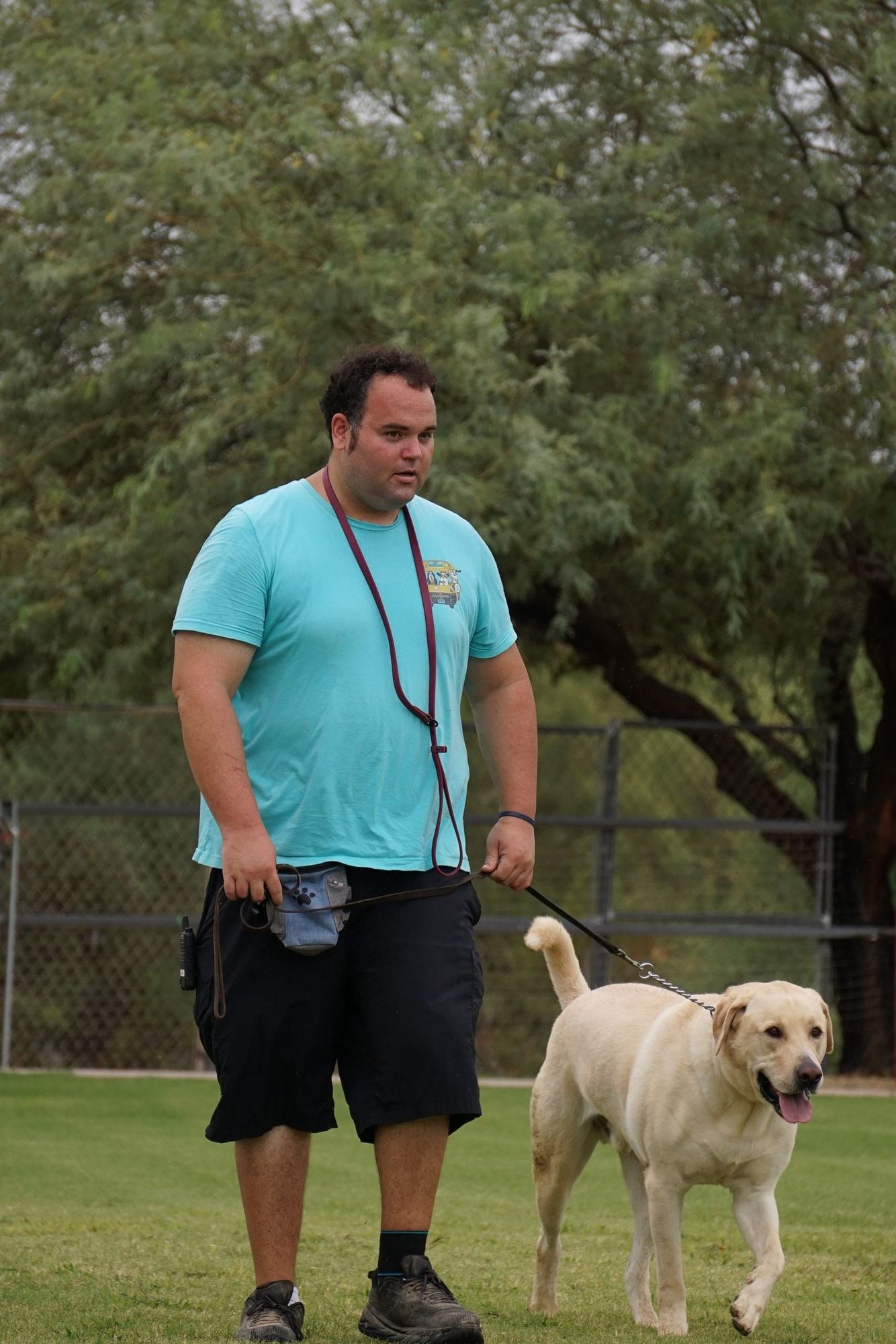 A trainer in teal walks a yellow Labrador on a loose leash across the grass field, mature mesquite trees and fencing behind, a calm everyday training moment.