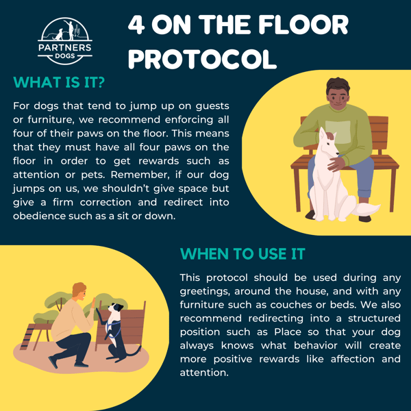 Jumping on People — dog behavior