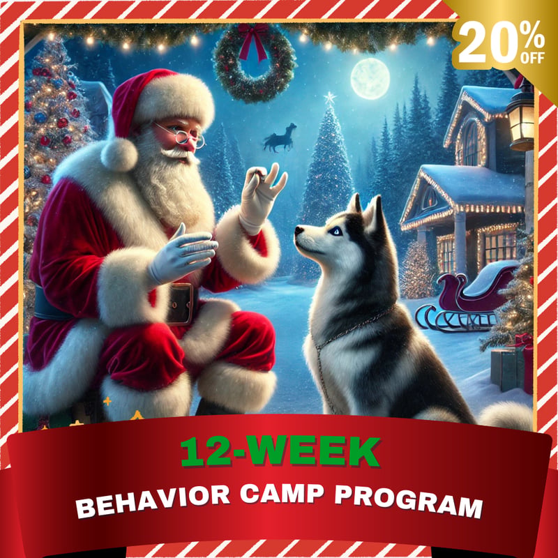 Behavior Camp Promo (#33133)