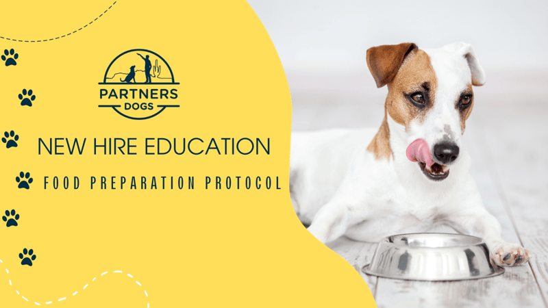 Food Aggression — dog behavior