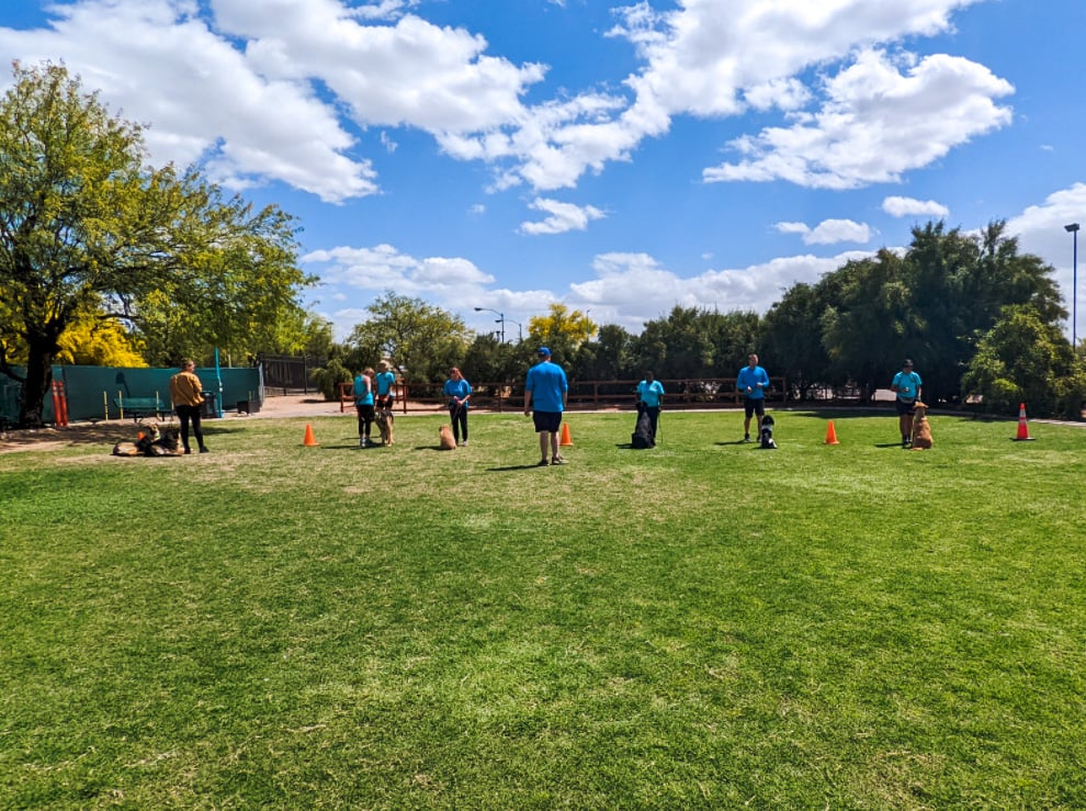 Seven people work with five dogs of different breeds during an outdoor group training session on a grassy field.