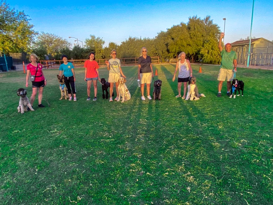 A group of families stand in a line on a grassy field with their leashed dogs during an in-person class, matching the fit-assessment section.