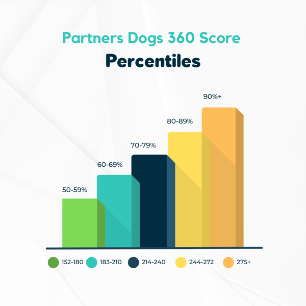 PD360 Assessment