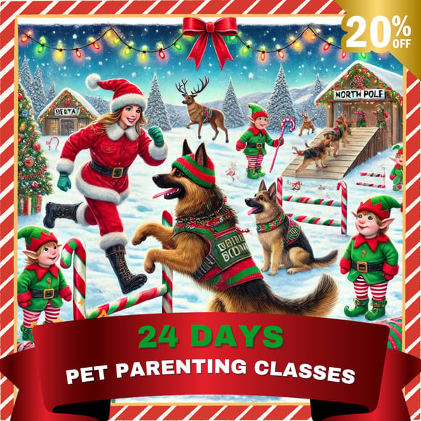 8x Pet Parenting Class Membership (Quarterly - 90 Days)