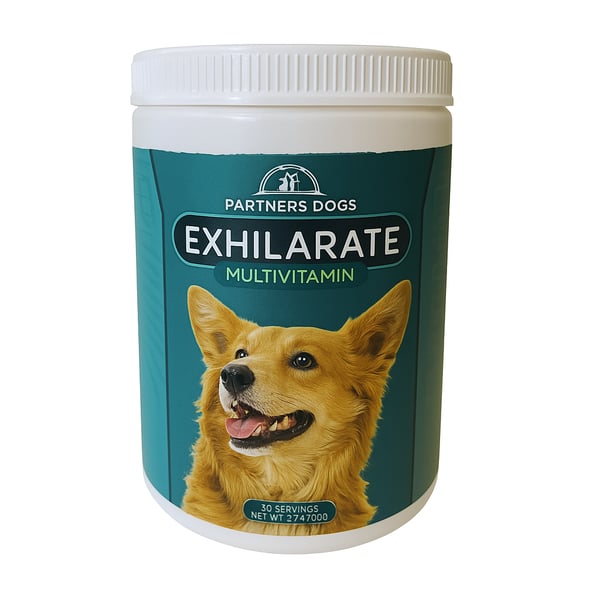 Exhilarate - Adult Multi-Vitamin, Partners