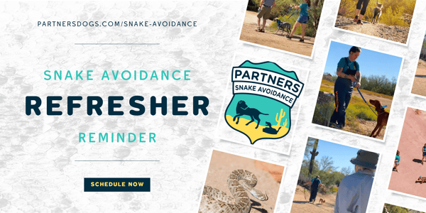 Snake Avoidance (Refresher)