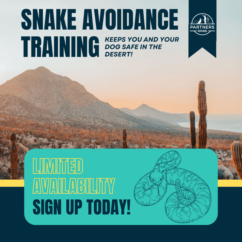 Snake Avoidance (First Timer)