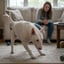 Compulsive Behaviors