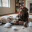 Destructive Chewing