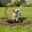 Digging