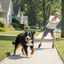Pulling on Leash