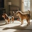 Sibling Aggression