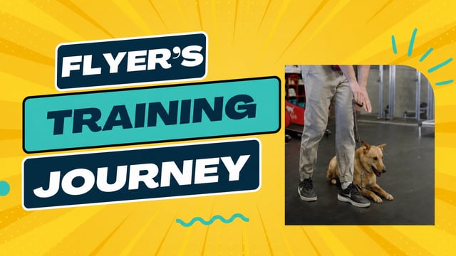 Flyer, Border Collie Mix, training at Partners Dogs
