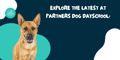 PDU | Pet Masters Program | 16 Weeks