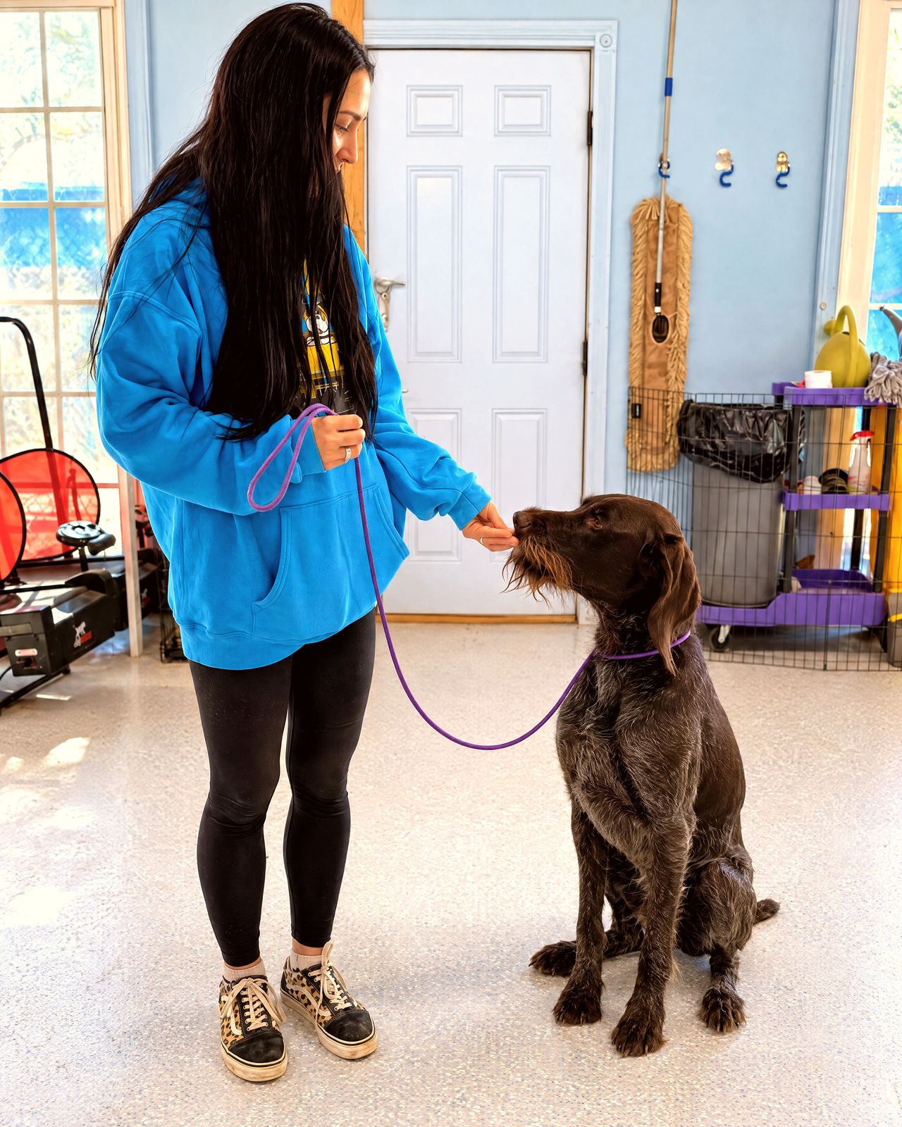 A handler rewards a seated brown wirehaired dog with a treat during an indoor leash training session.
