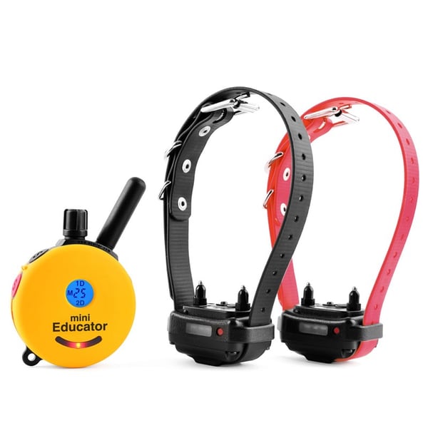 Mini-Educator E-Collar Training System - 2 Dog