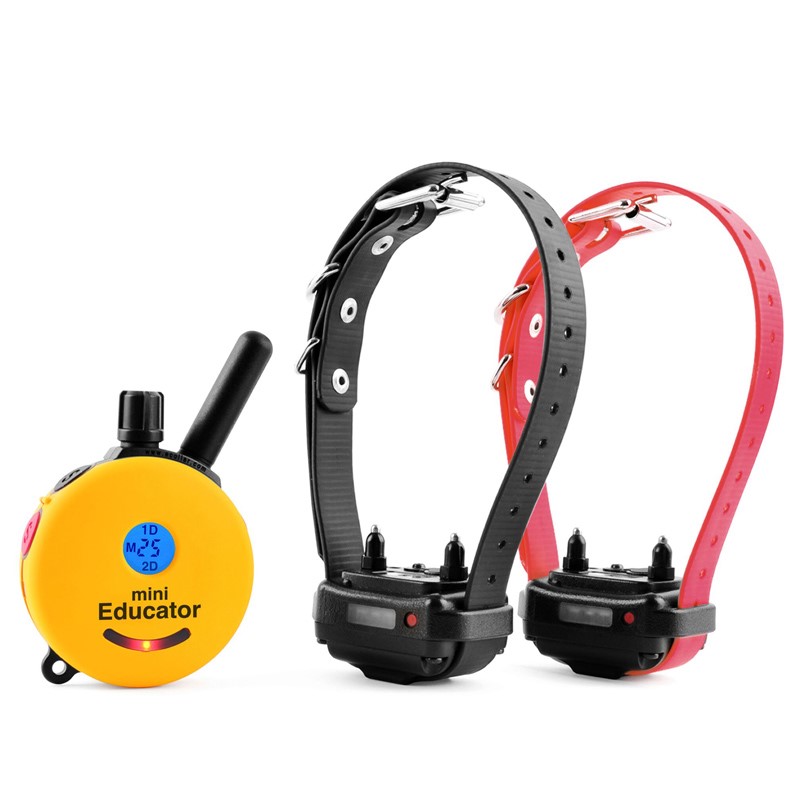 Mini-Educator E-Collar Training System - 2 Dog (#28314)