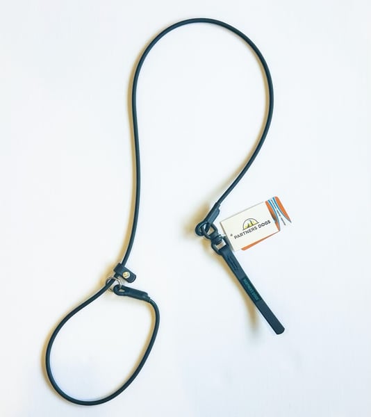 Slip Lead Leash, Partners Dogs