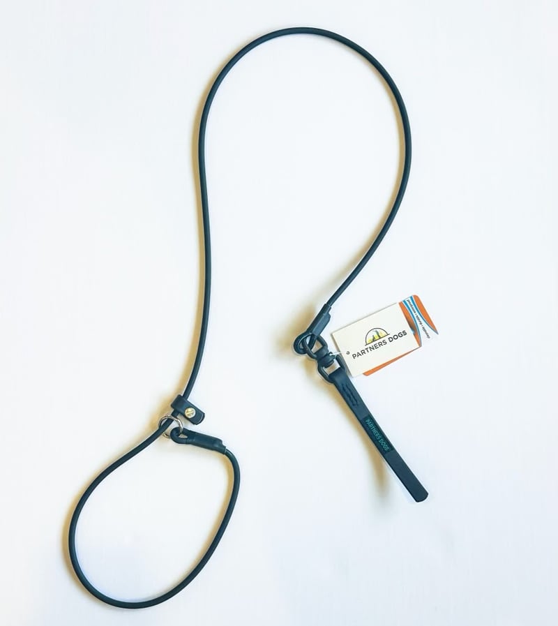 Slip Lead Leash, Partners Dogs