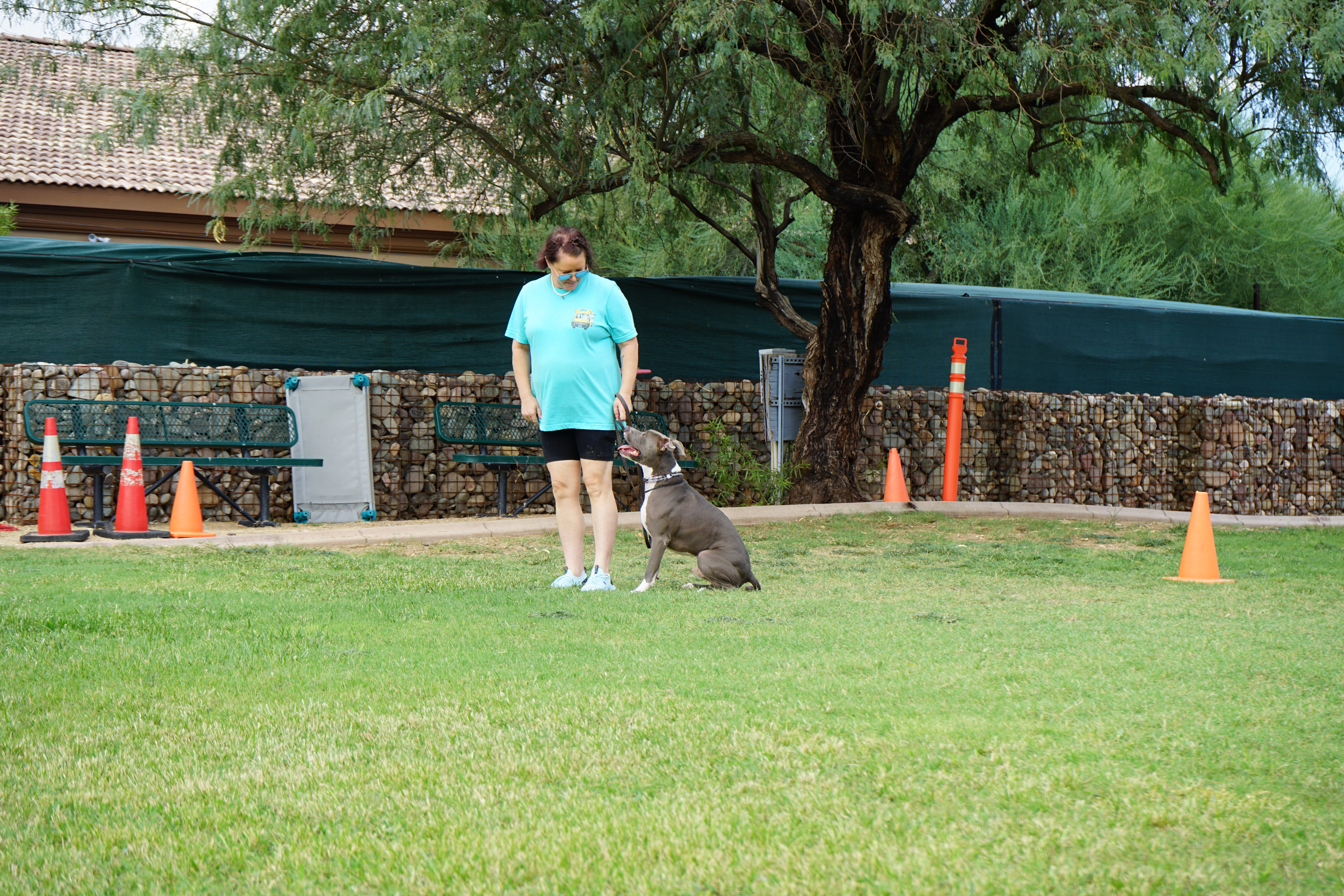 A trainer working with a dog at the Partners Dogs Cave Creek campus near New River