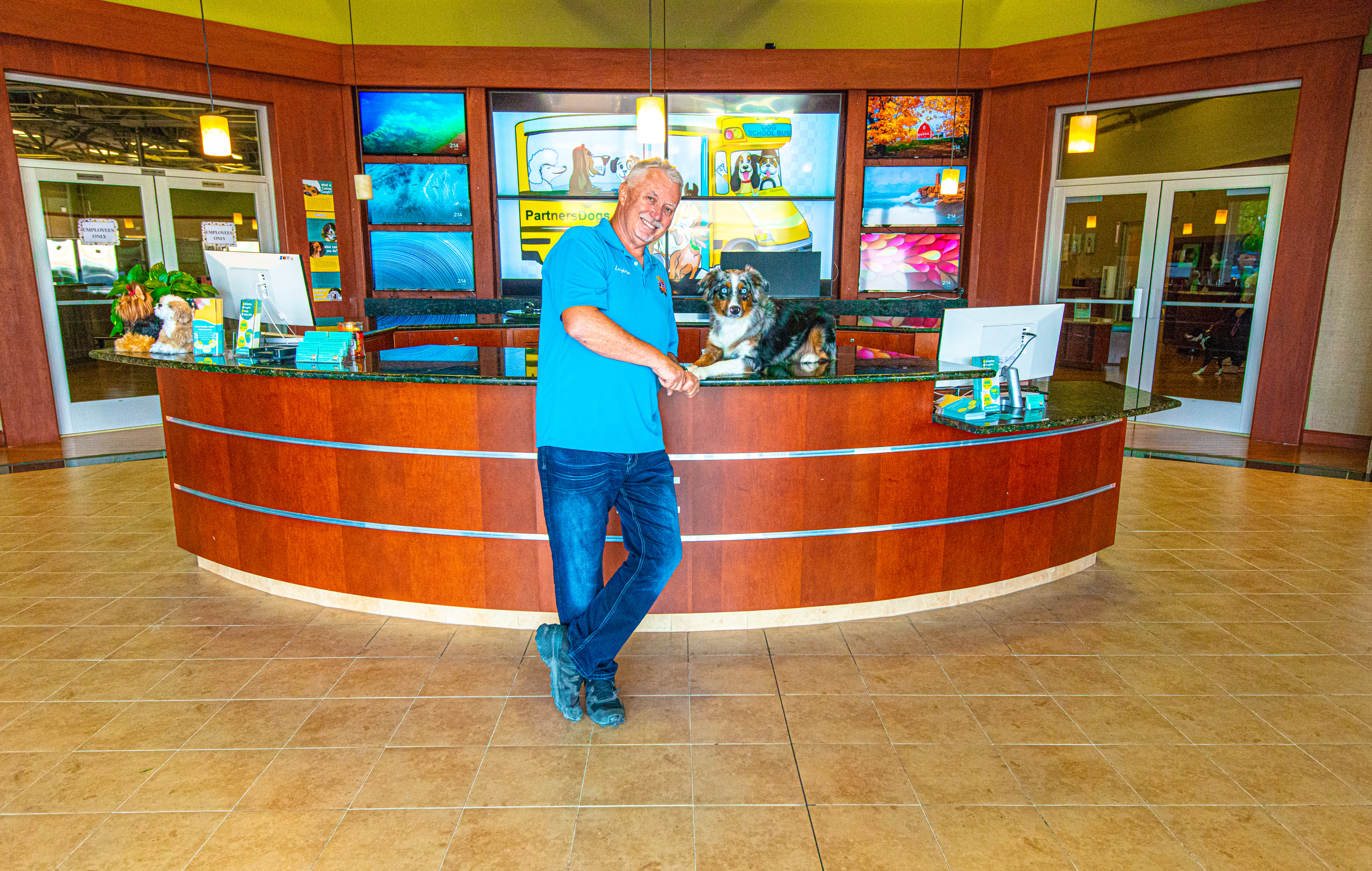 Partners Dogs team member at the bright reception desk with a friendly Australian Shepherd on the counter.