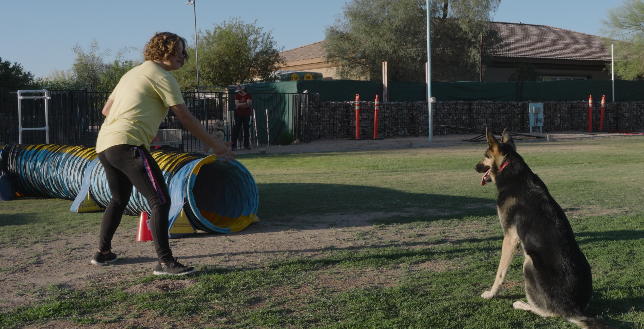 Partners Dog School group class — agility-style practice