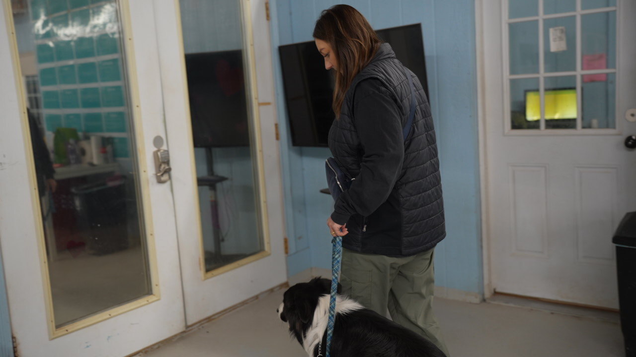 A handler in a vest works a Border Collie on leash near the glass doors, rehearsing polite behavior around real distractions.