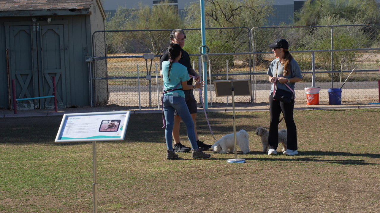 Outdoor Partners Dogs group class with an instructor and several handlers and dogs in the Cave Creek desert