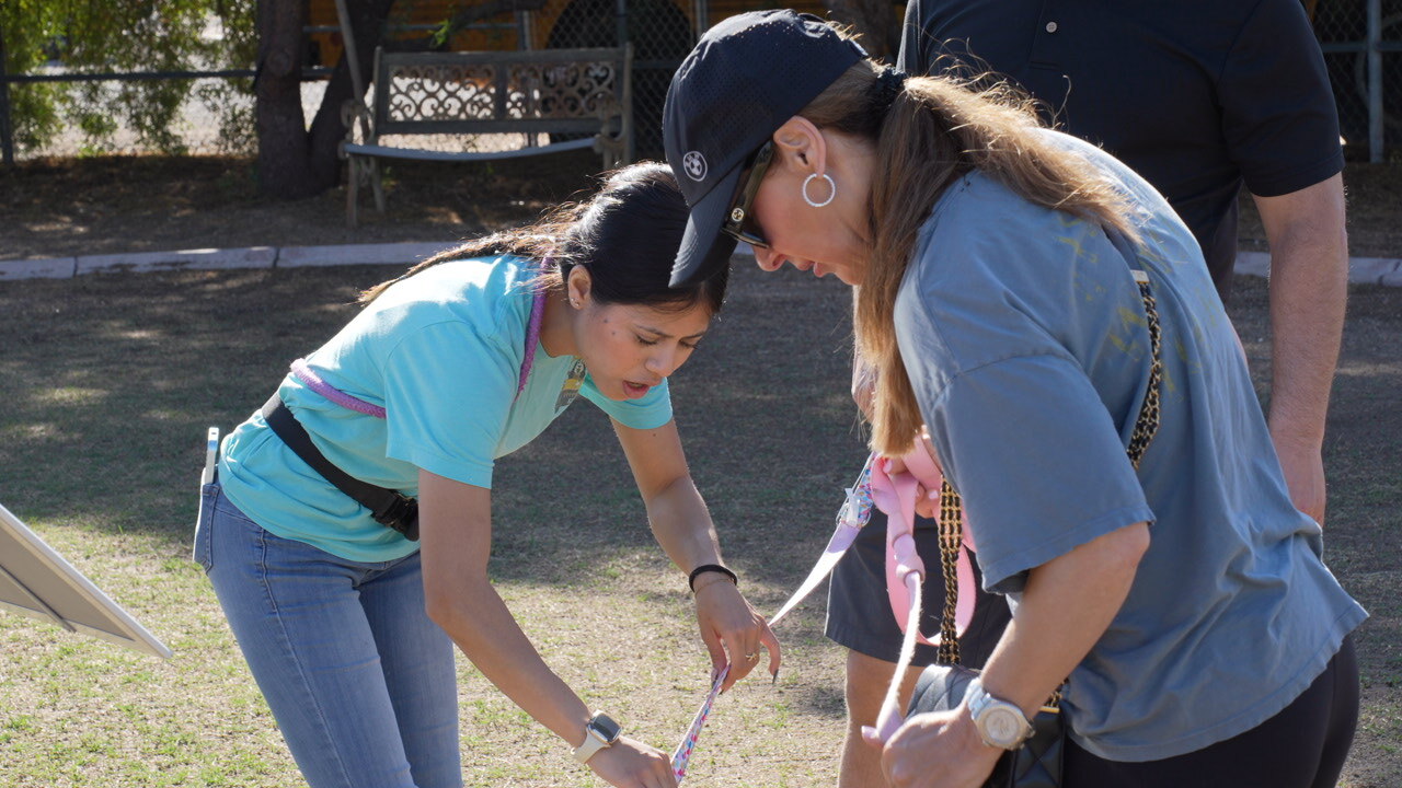 Two trainers in teal bend to coach a dog on a pink leash outdoors at the Cave Creek campus, hands-on and patient.