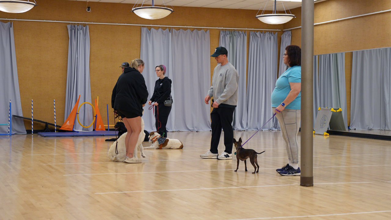 Partners Dogs group class with several handlers and dogs and an instructor leading in Scottsdale
