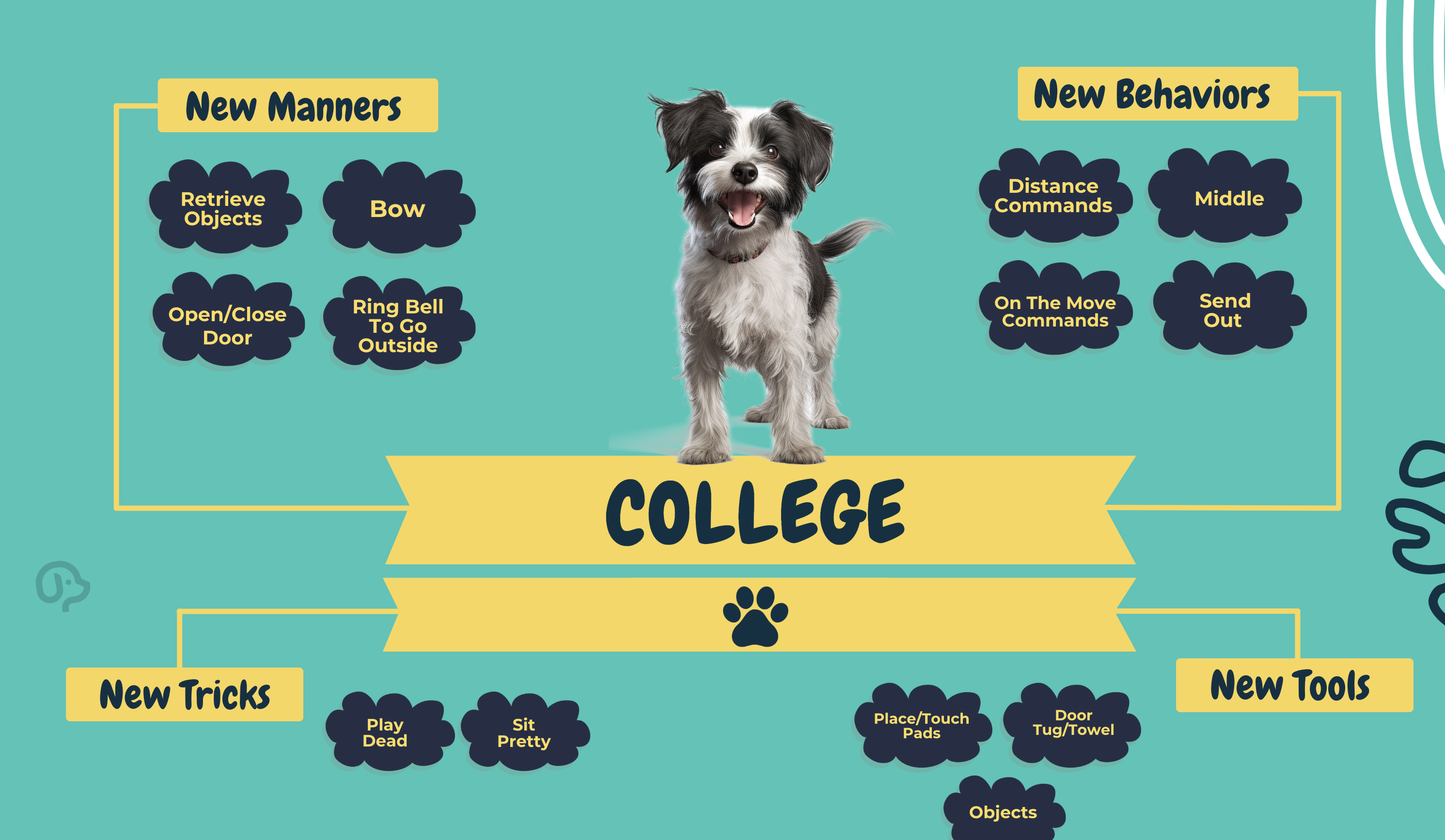 Dog wearing a graduation cap — Partners Dog School training graduate