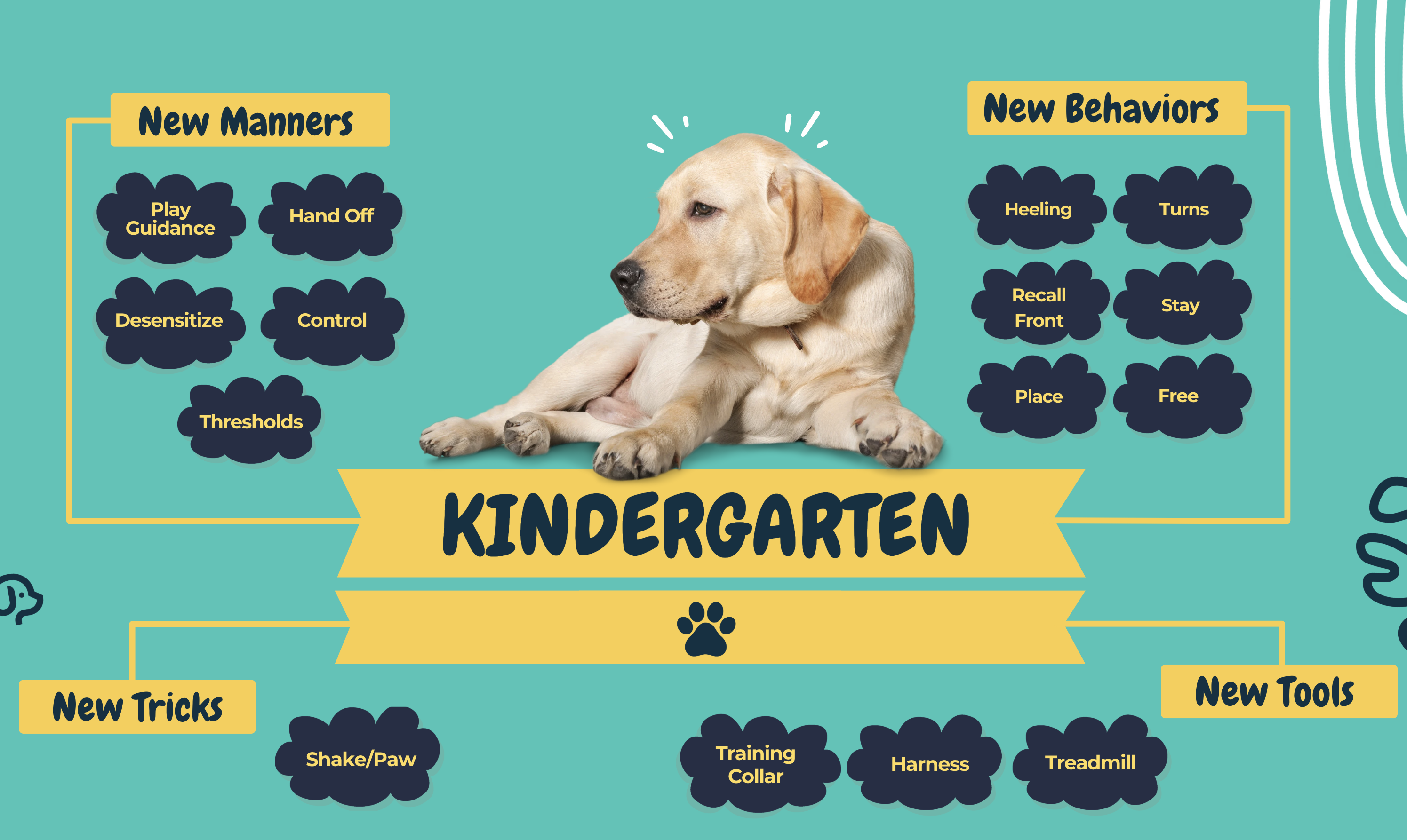 Partners Dog School Pet Parenting Group Class — group lineup