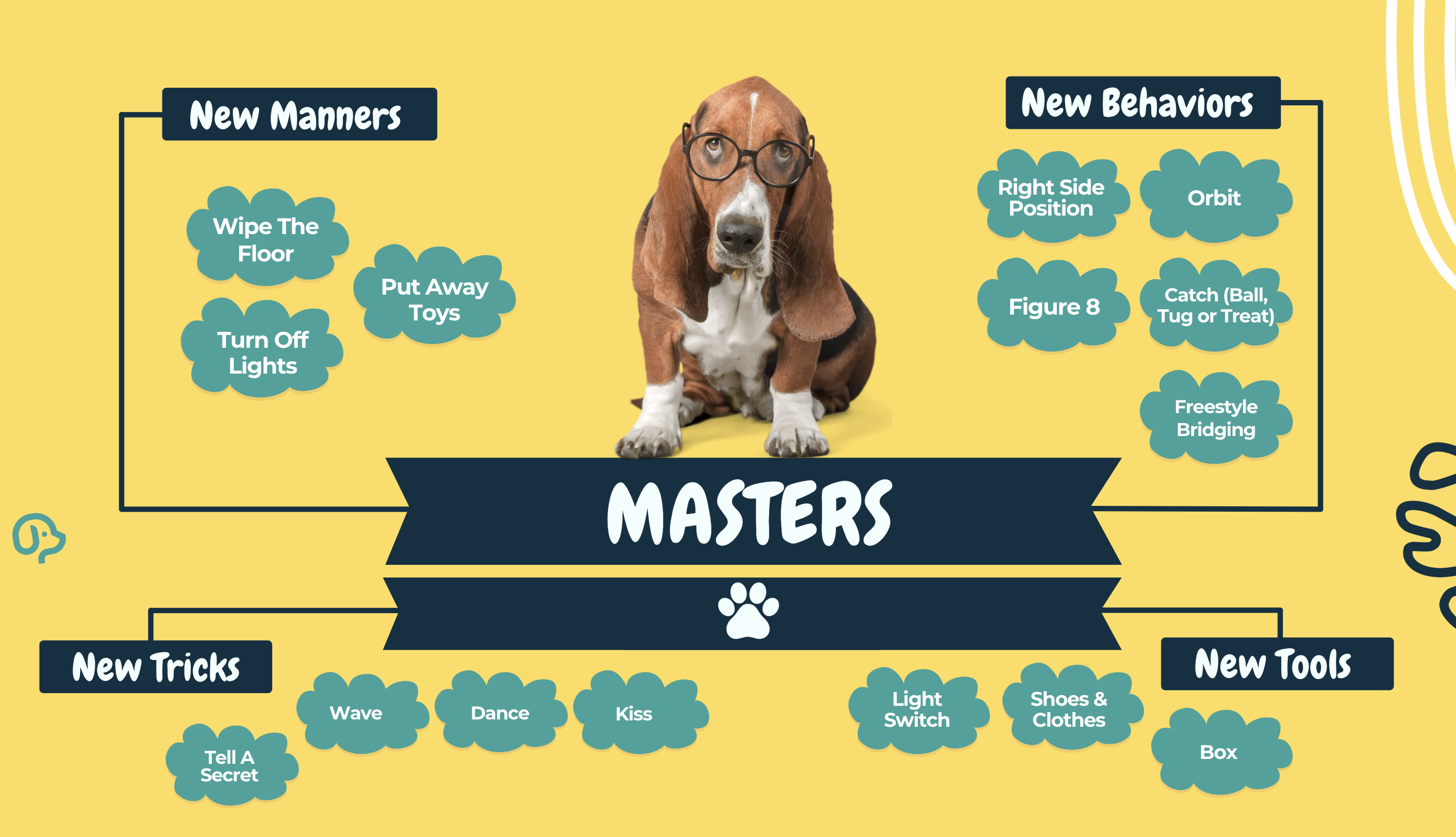 Advanced obedience demonstration — Masters-level focused work