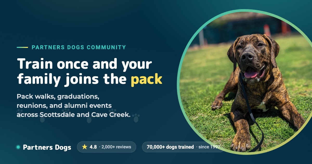 Partners Dog Training, Daycare and Resort