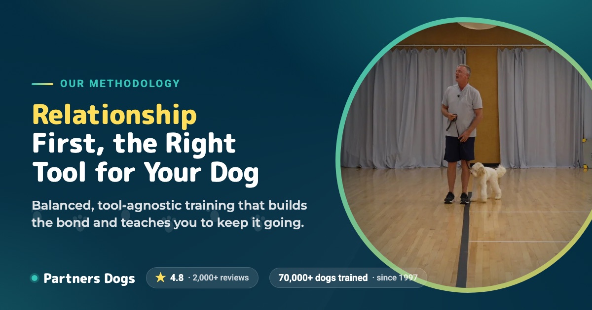 Canine Partners Training Program Dog Training Methodology, Relationship First | Partners Dogs