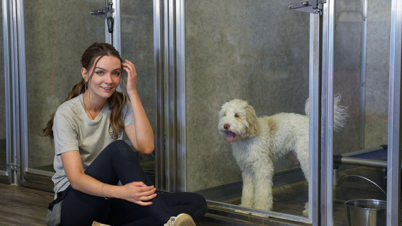 A smiling staff member sits on the floor of the kennel area beside a cream Goldendoodle looking out from its run.