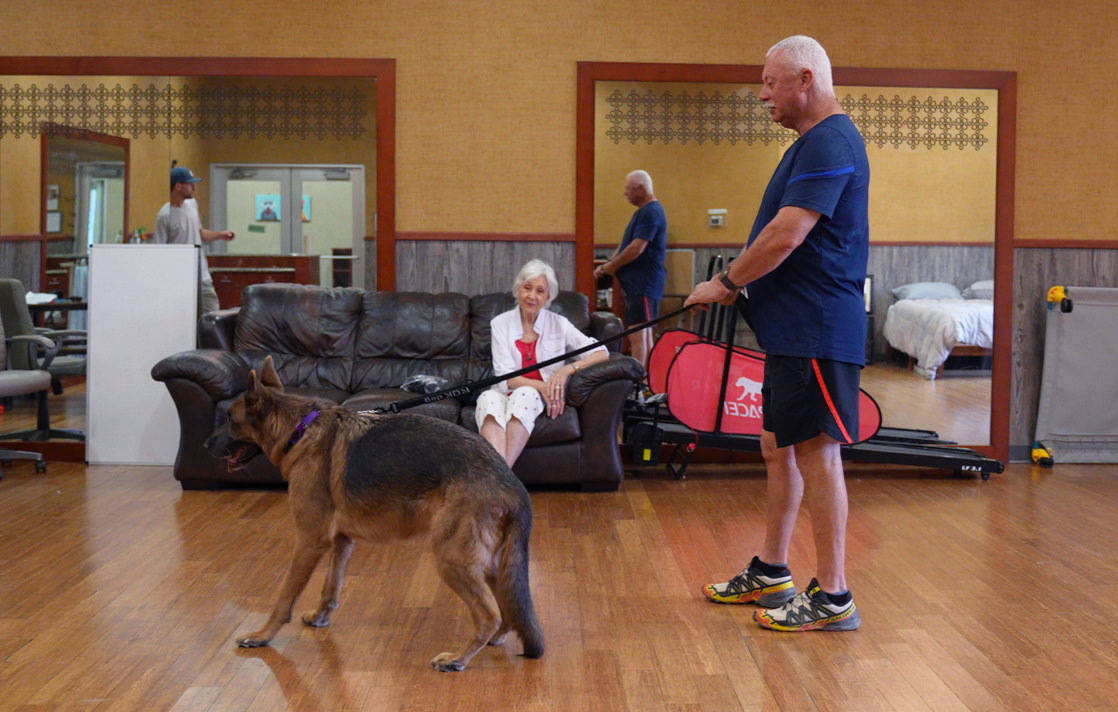 A Partners Dogs trainer in conversation with a seated client, talking through the handling plan while the dog settles nearby