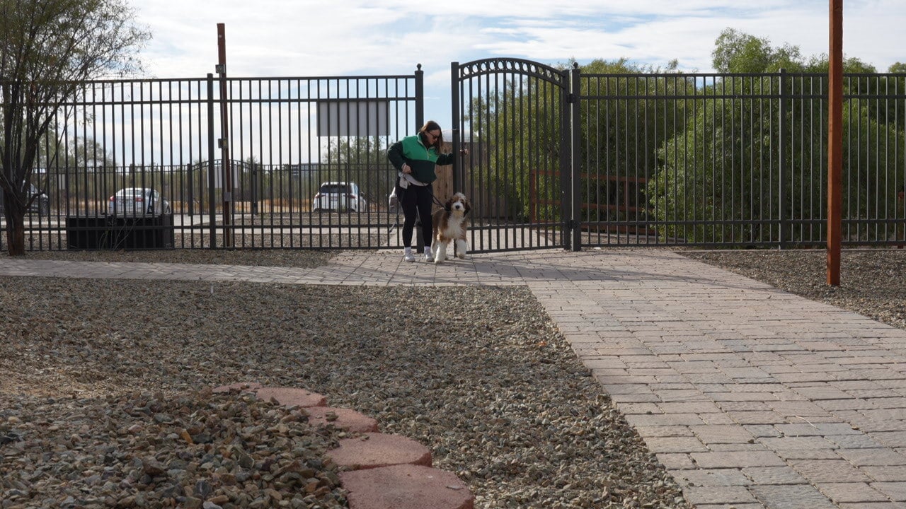 Handler walking a dog through the gated Cave Creek desert entrance at Partners Dogs