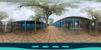 Covered Outdoor Potty Area 360 tour thumbnail