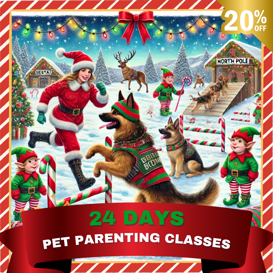 8x Pet Parenting Class Membership (Quarterly - 90 Days)