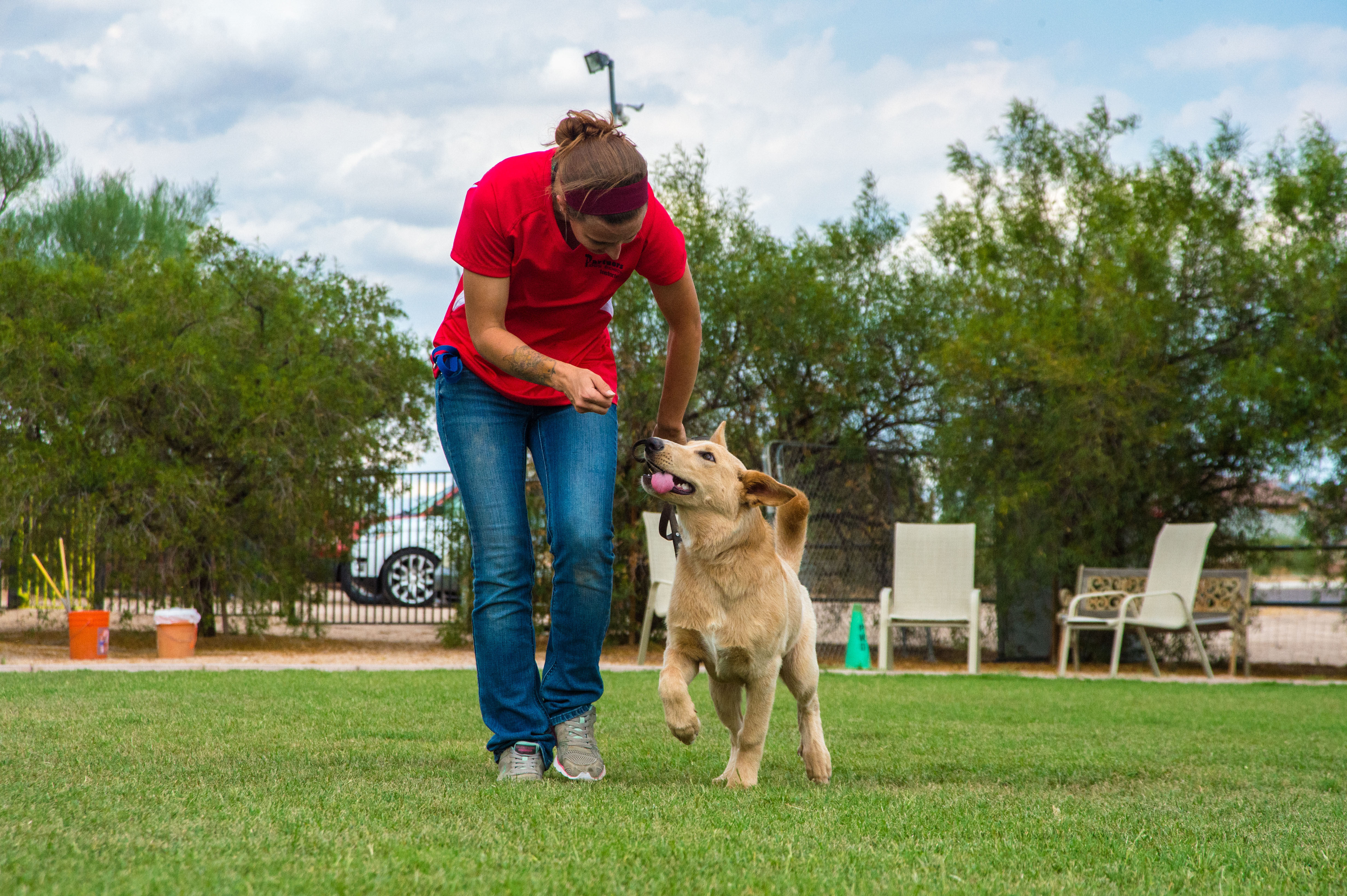 muzzle training for reactive dogs