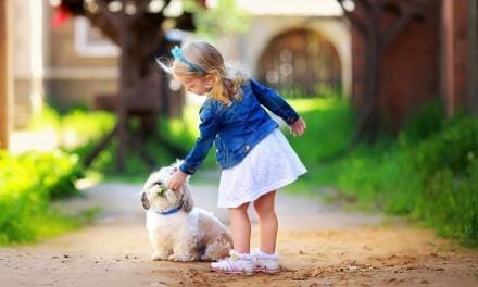 Tips & Tricks to Training Little Dogs