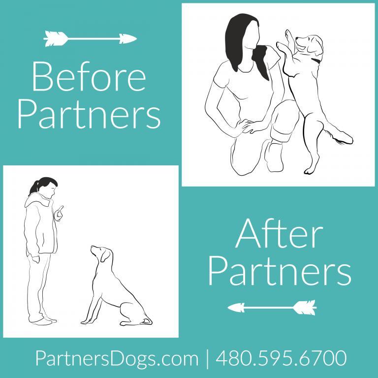 Jumping, dog jumping, how to stop dog jumping, Pulling, Running away