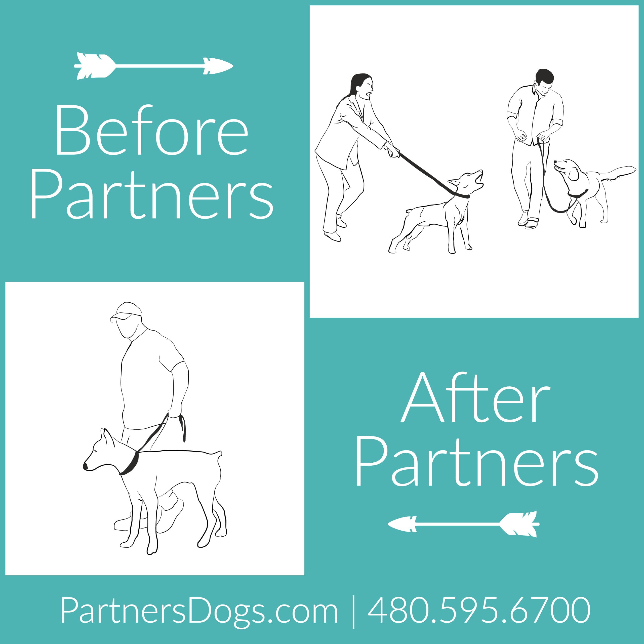 Leash Reactivity Aggressive on Leash Partners Dog Training