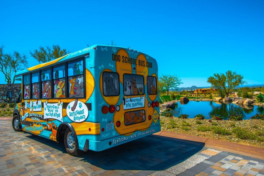 Dog School Bus Boarding Transport Partners Dog Training School